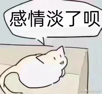 表情包