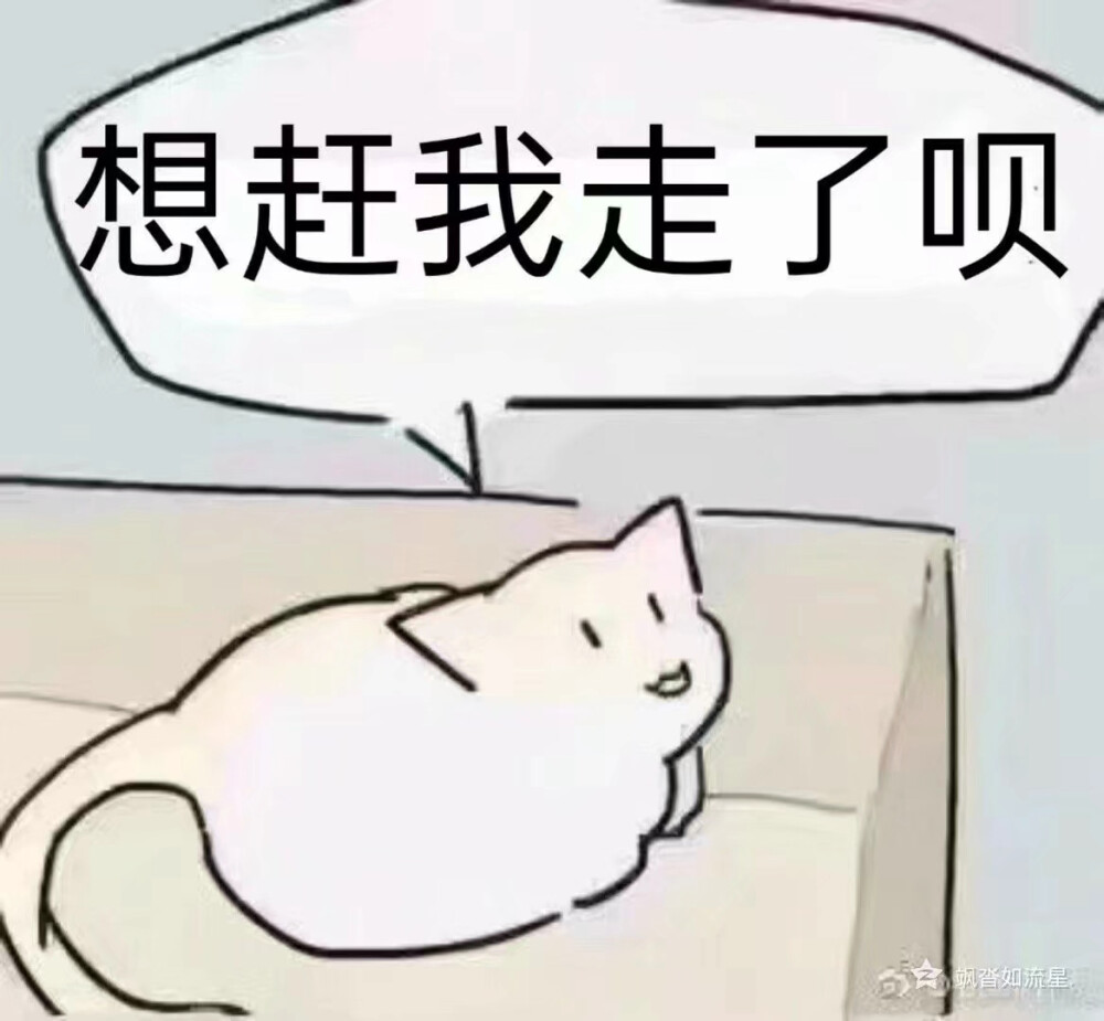 表情包