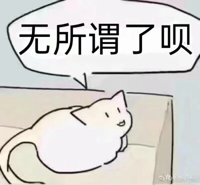 表情包