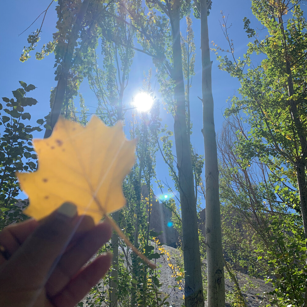 梦是个奇特的东西，他会满足一些你在现实中得不到的东西，然后却会以梦醒时分的失落来平衡，就像梦到你在身边，向你一伸手，发现梦醒了