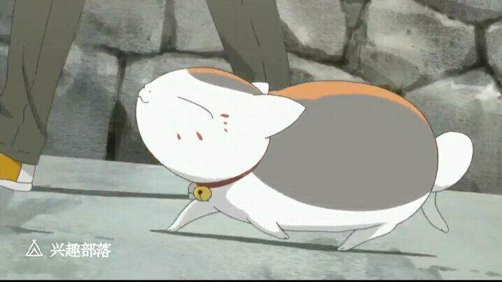 夏目友人帐猫咪老师三三