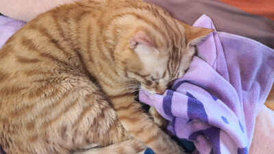 这日子还是得过下去