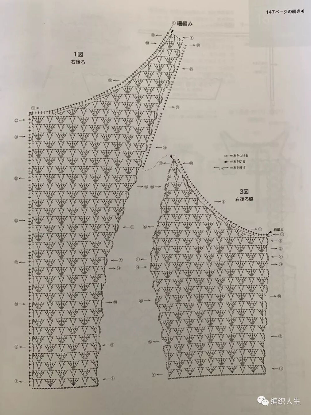 蕾丝上衣