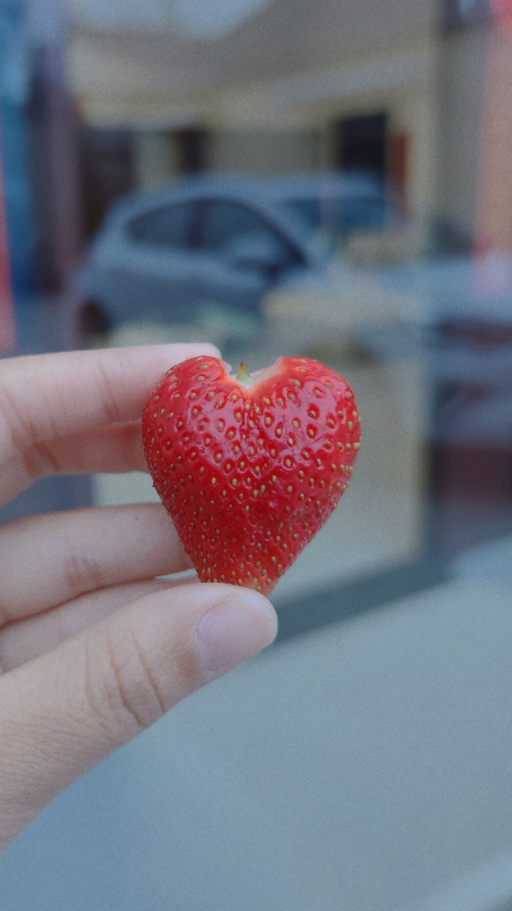 连草莓都是爱你❤的形状