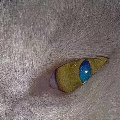 Hello monica and you are Pandora