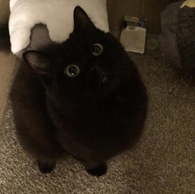 Hello monica and you are Pandora