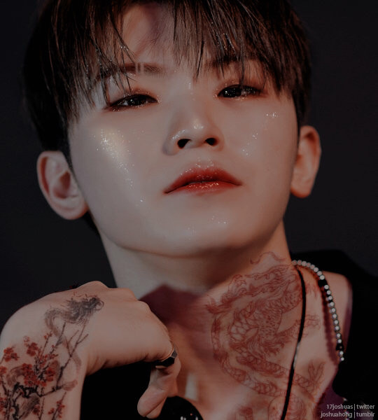 woozi 