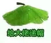 剑三表情包，荷叶帽绿帽子