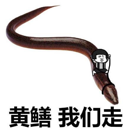黄鳝我们走