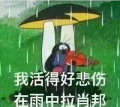 我活的好悲伤 在雨中拉肖邦