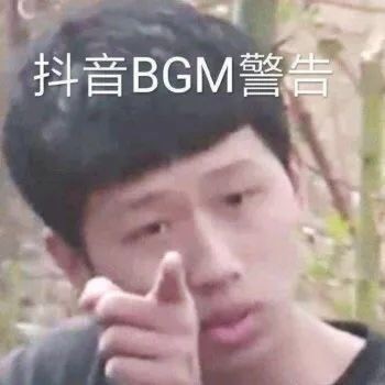 抖音BGM警告(王境泽指人表情包)