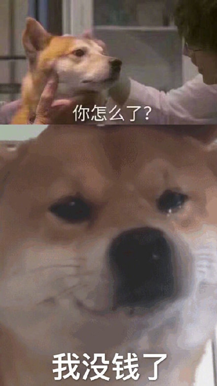 你怎么了？我没钱了
