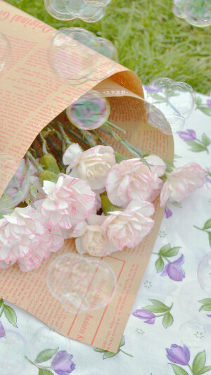 春天的情书 ​​​
by.九奈西野