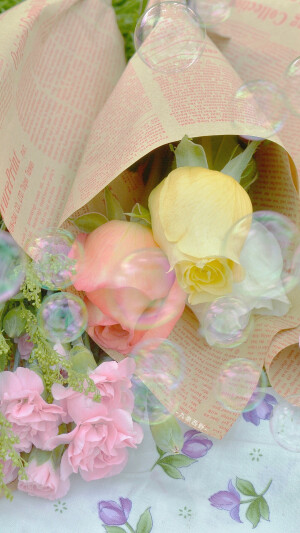 春天的情书 ​​​
by.九奈西野