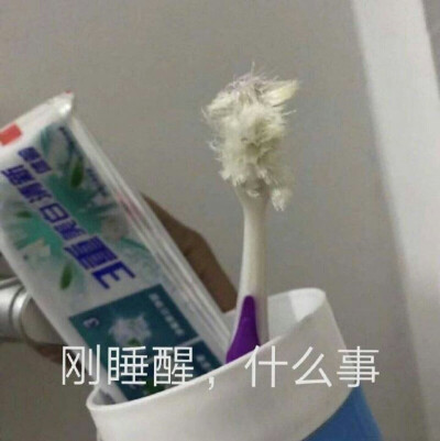 万物皆可沙雕表情包