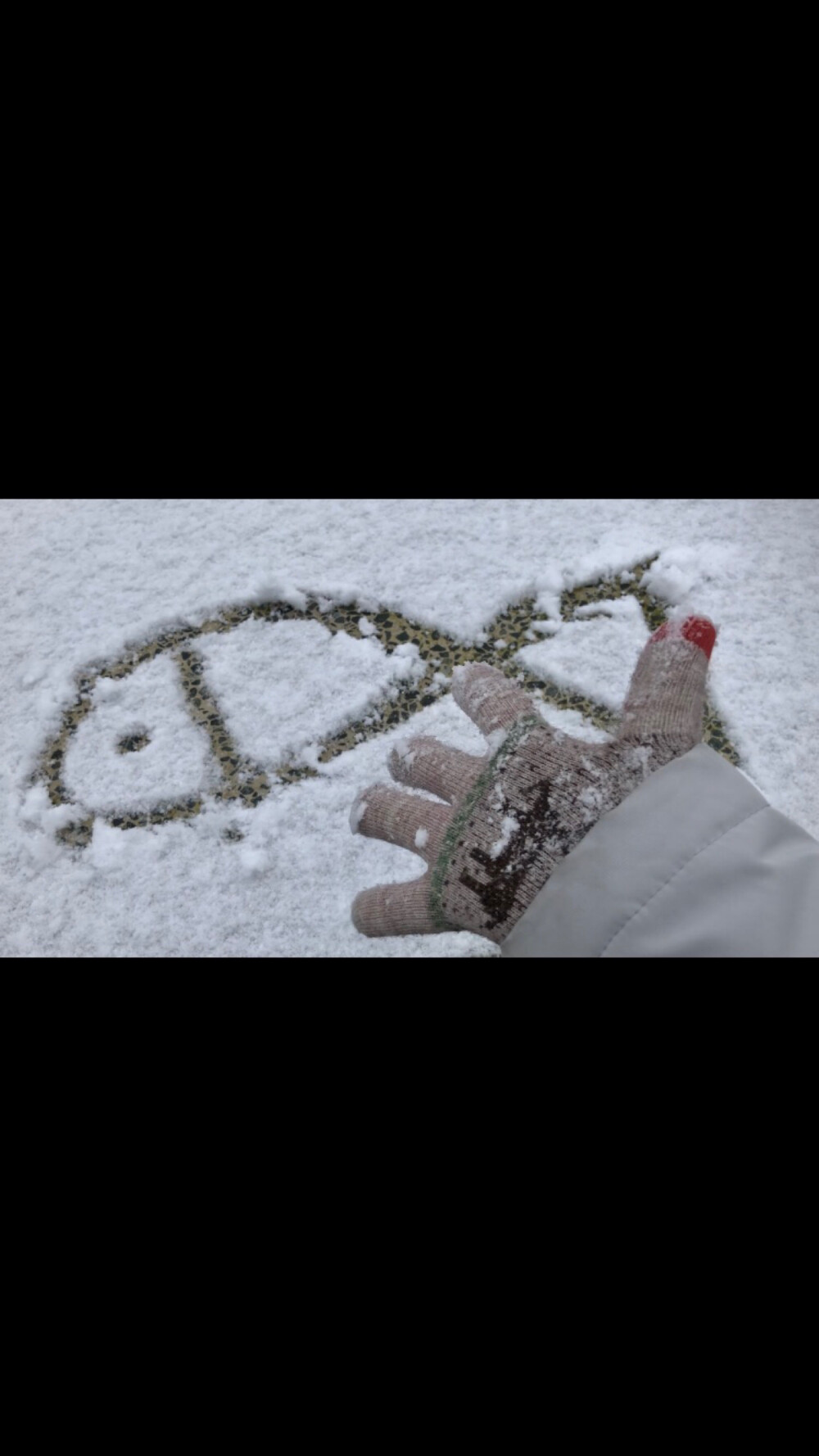 在汉堡的三月底，第一次玩雪真的太开心啦！