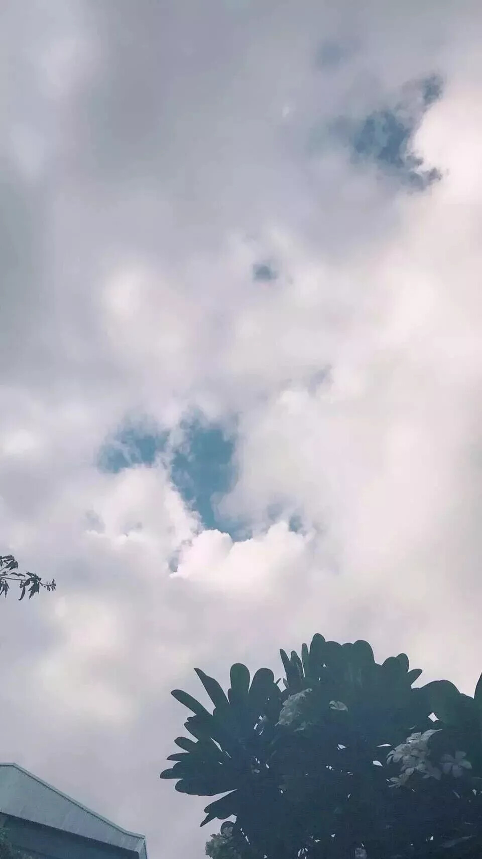 今日七更 暖色系／壁纸／天空／云朵／海边／月亮／星辰／背景
手写专辑求关注❤
今日更新完毕❤❤❤