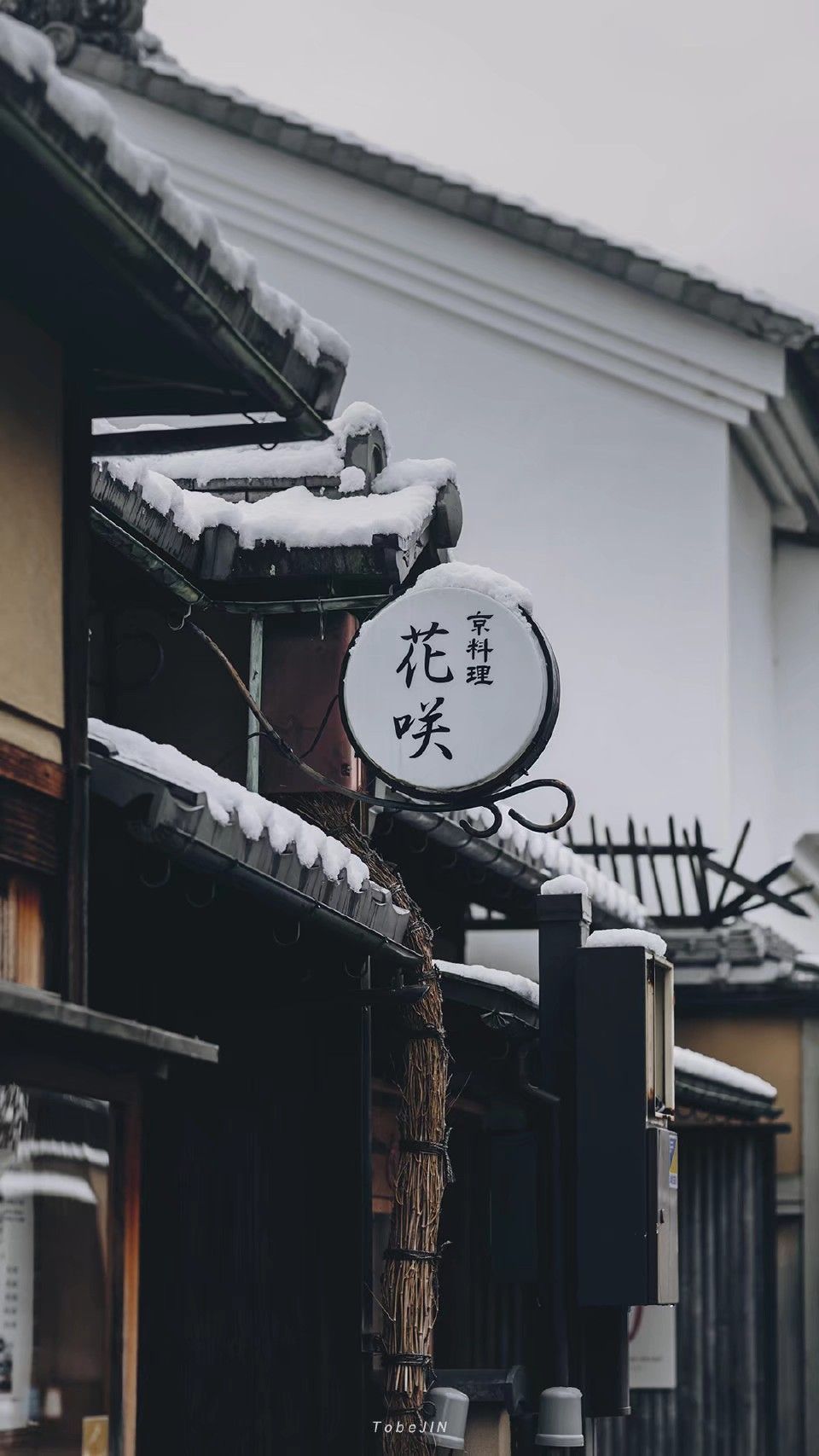 日本街道，雪，樱花