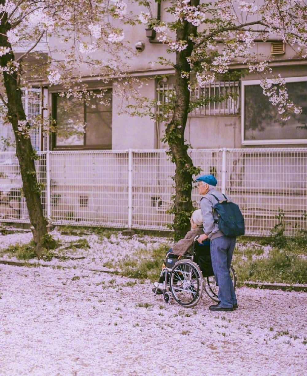 樱花季ins：_sowee