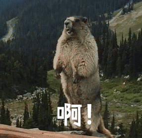 土拨鼠的尖叫