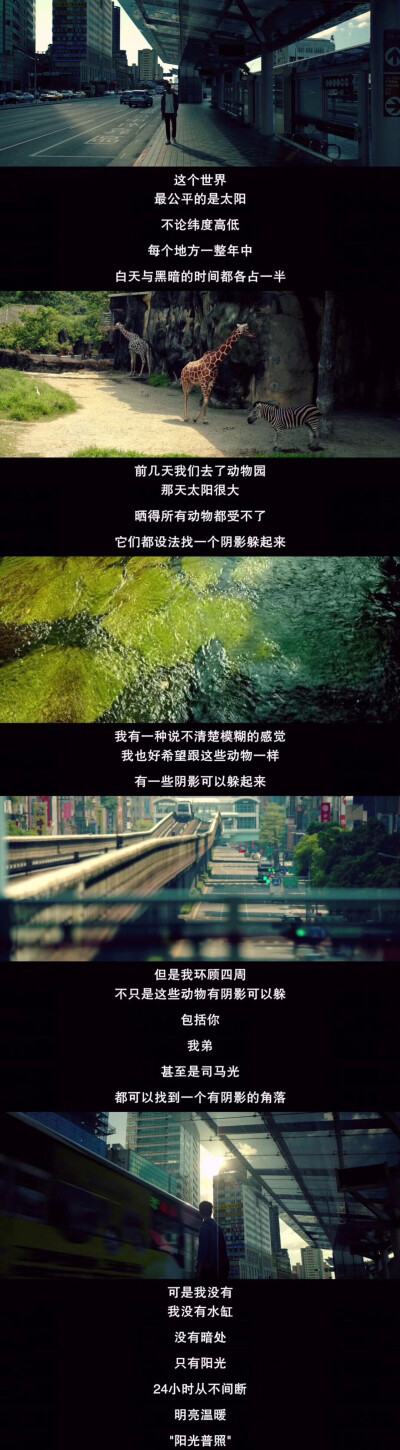 这个世界，最公平的是太阳。不论纬度高低每个地方一整年中，白天与黑暗的时间都各占一半。前几天我们去了动物园那天太阳很大，晒得所有动物都受不了，它们都设法找一个阴影躲起来，我有一种说不清楚模糊的感觉，我也…