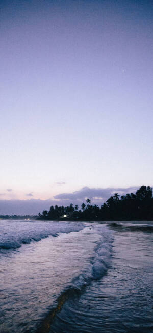 没有介绍
就是好看