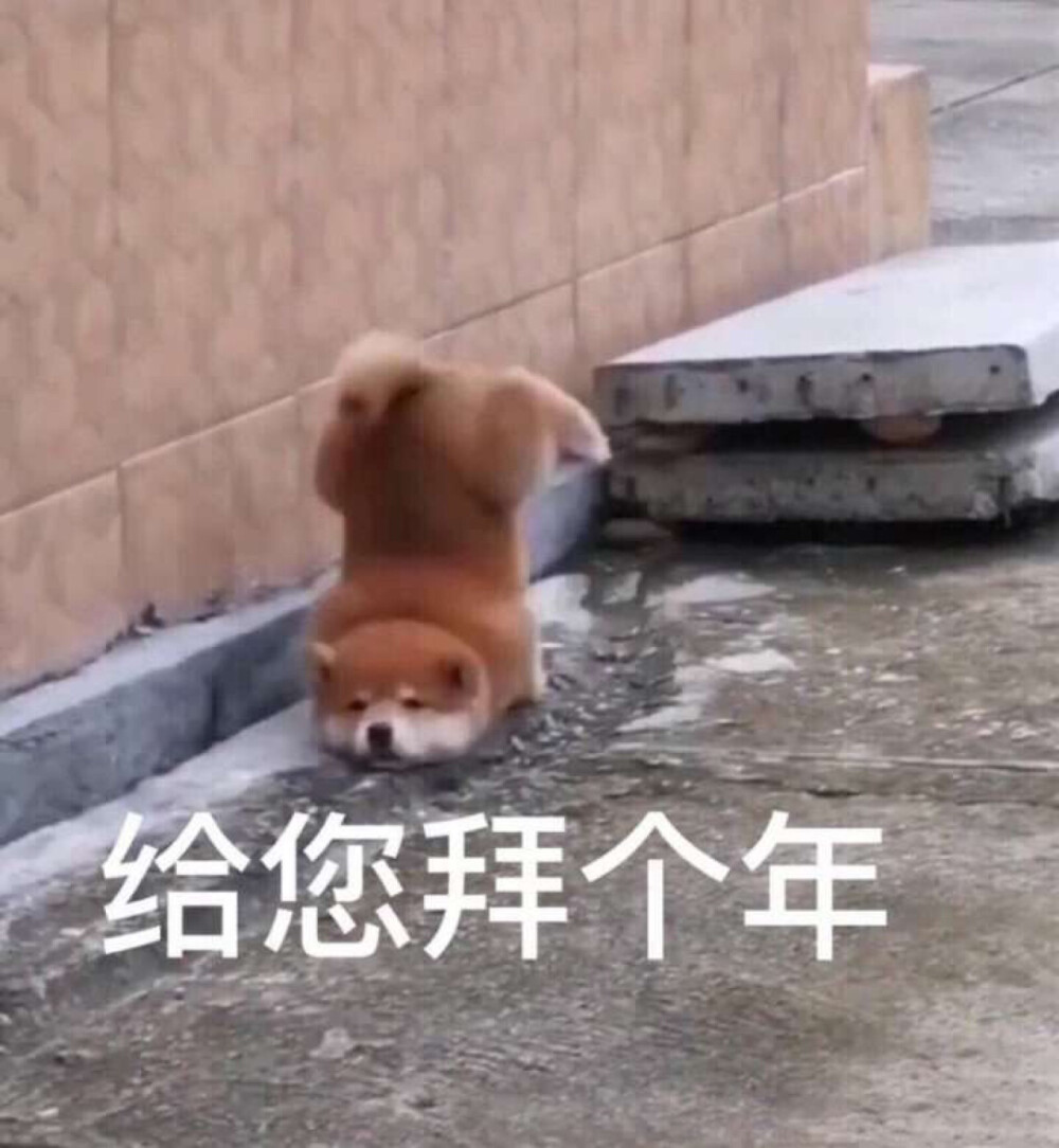 表情包