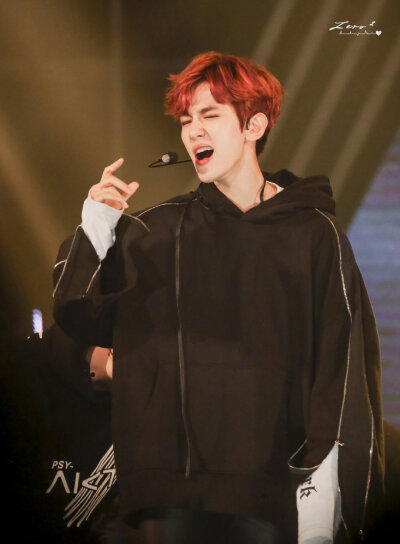 伯贤壁纸 非原创