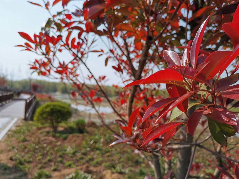 春日出游——湿地公园打卡