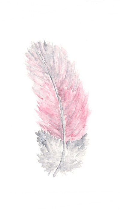 来源部落
羽毛素材