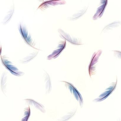 来源部落
羽毛素材