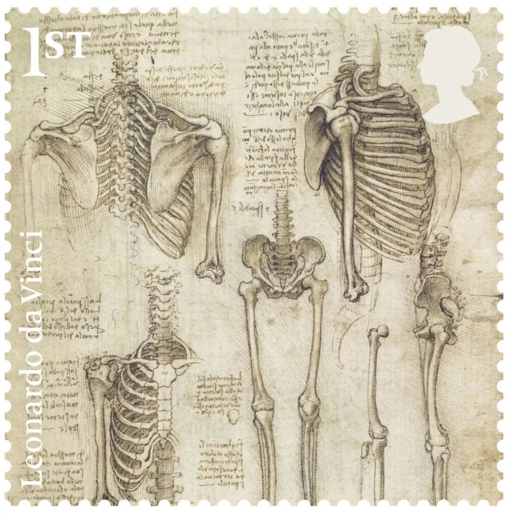 Skeleton /《人体骨骼》，1510-1511年