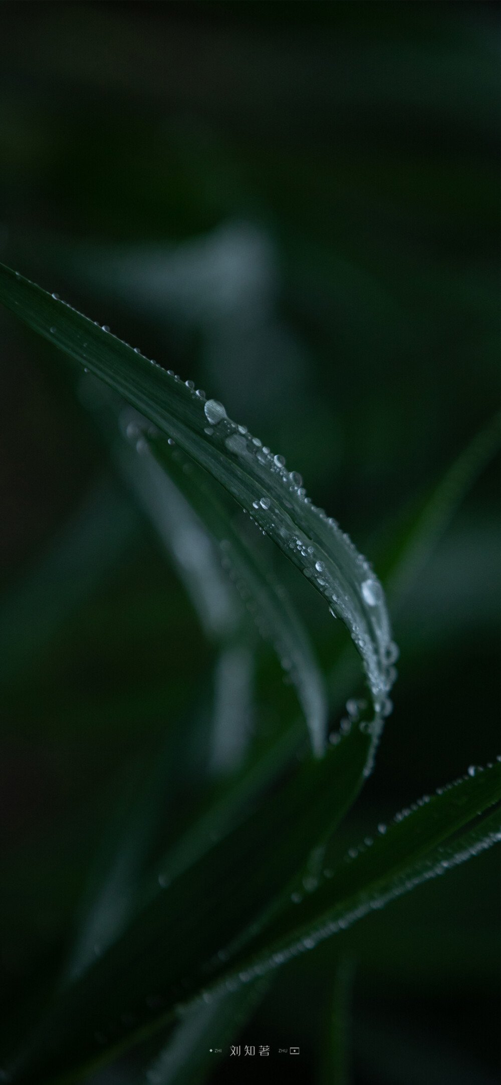 一朝春雨，万物清明