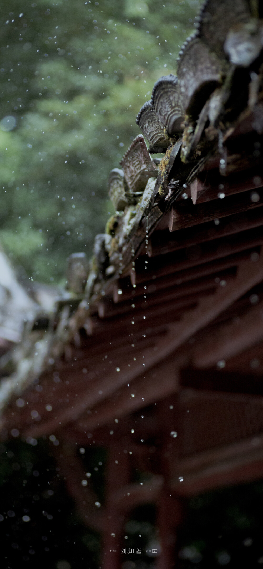 一朝春雨，万物清明