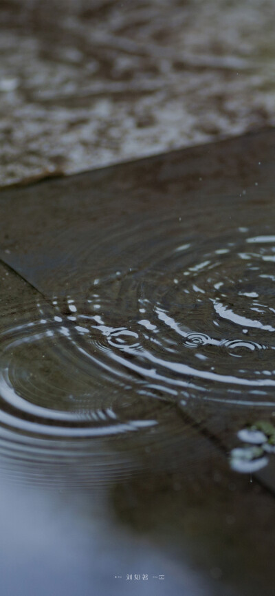 一朝春雨，万物清明