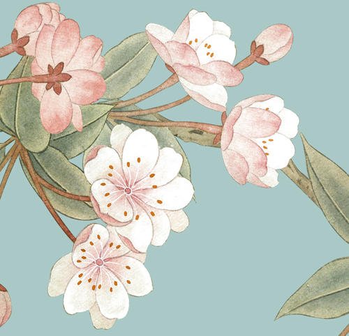 唯美古风海棠现代诗赞评论更多