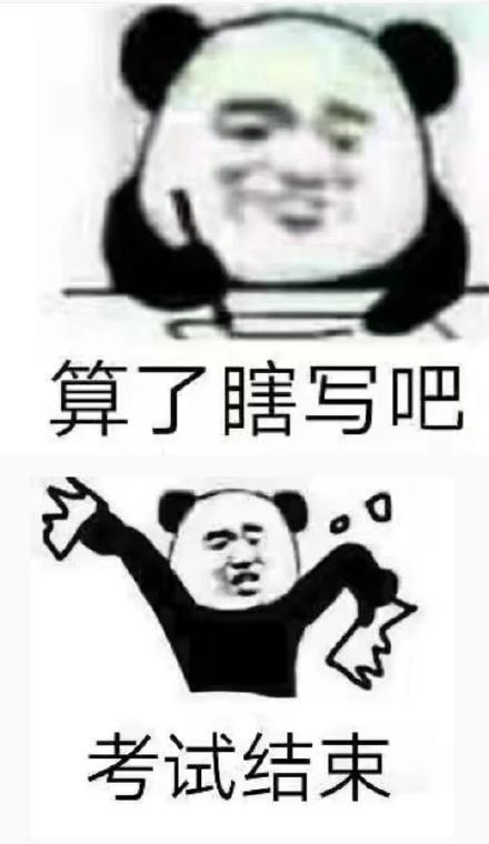 算了瞎写吧，考试结束（熊猫头表情包）