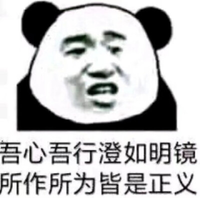 吾心吾行澄如明镜 所作所为皆是正义（熊猫头表情包）