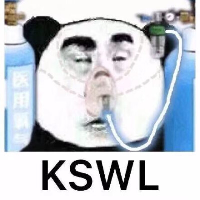 KSWL（熊猫头吸氧 医用氧气）