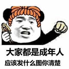 大家都是成年人应该发什么图你清楚(熊猫头)