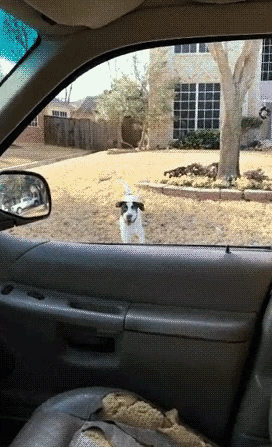 搞笑gif
搞笑动图