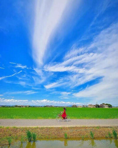 一位日本摄影师为自己女儿拍的照片，美成宫崎骏动画里的画面