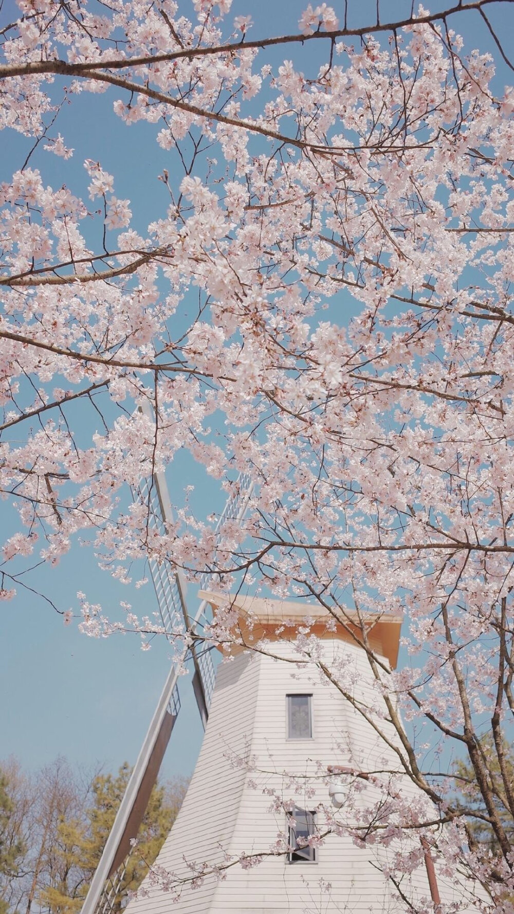 风景 壁纸 全屏 