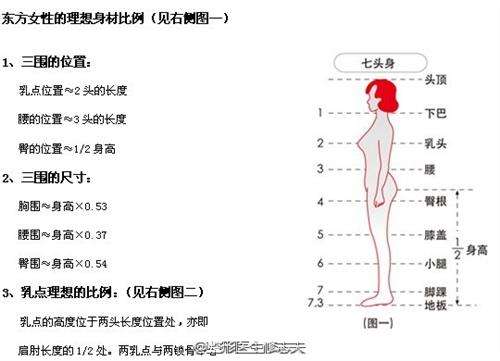 自学画人物轮廓