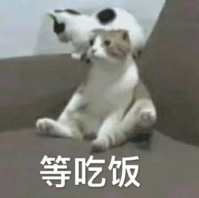 可爱小猫咪表情包