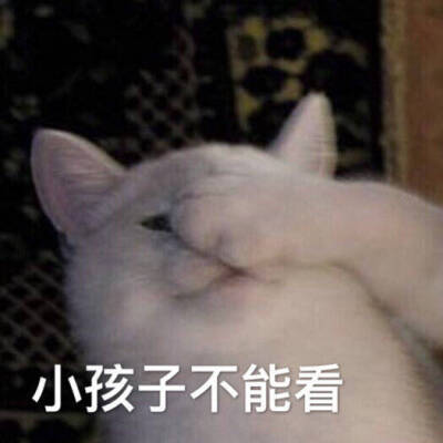 可爱小猫咪表情包