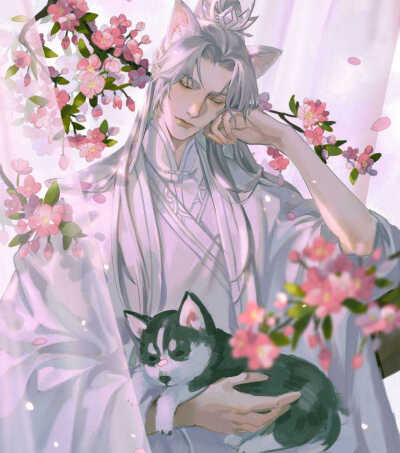 二哈和他的白猫师尊