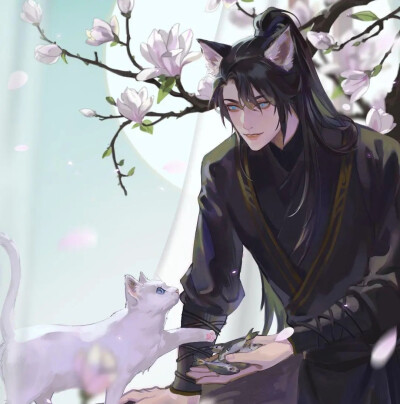 二哈和他的白猫师尊