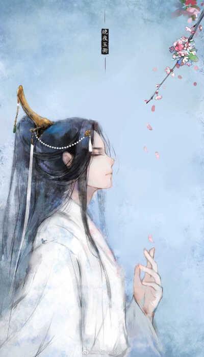 二哈和他的白猫师尊