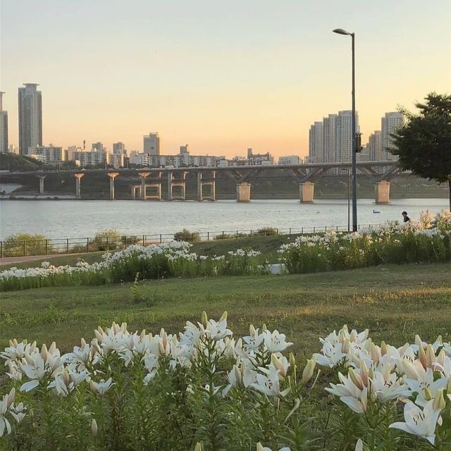 女孩子的背景图就要仙气十足